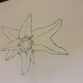 urtiu202550's avatar