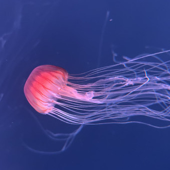 namusan1212's avatar