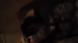 歴代のカノジョたちのフェラチオ