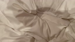 叔母　個人撮影2
