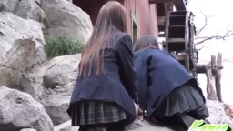 パンチラ2