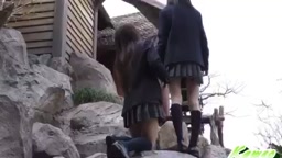 パンチラ2