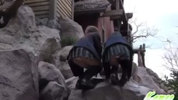 パンチラ2