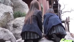 パンチラ2