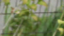 コスプレイヤーって皆変態だよな？