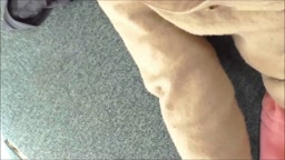 盗撮悪戯自習室 Vol.07