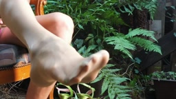 Pantyhose sheer seitenglatt - transparent tights