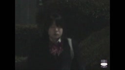 TS-001 - 1 女子校生レイプ隠撮 16