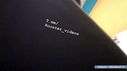 by cocknasty
