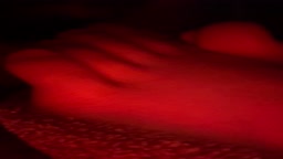Sleeping feet licked