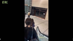 パンスト　逆さ