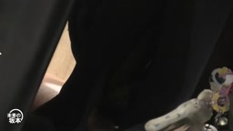 パンスト　パンチラ