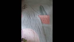離婚した姉(china)
