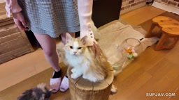 可愛すぎ超レア猫カフェデートで猫にメロメロ「可愛い..」、デート後思い出ムスコにも夢中だったのは二人だけの内緒