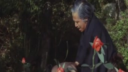 日活　団鬼六・花と蛇１(1974)