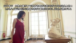 女優 山〇智子 TVでノーブラ 乳首の形まで鮮明にクッキリ