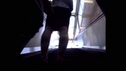 Pantyhose Upskirts on Escalator