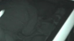 京浜島カーセックス027