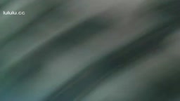 33 Bookcafe 書店露出