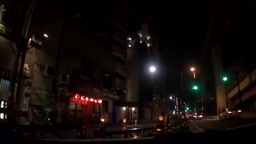 独り暮しの巨乳OL夜這い痴漢