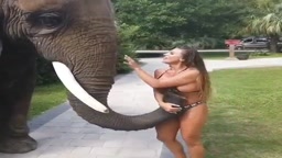 Thai Elefant Tuch Latina Girl Big Boobs