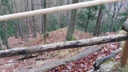 Hiking trail masturbation