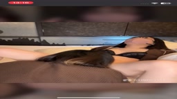 ライブチャット