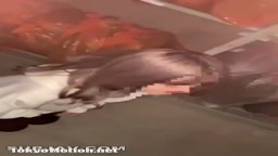 友達のセフレをタイヤ倉庫に呼び出し『俺もやらせろ！』と言ったらやらせてくれたｗｗｗ