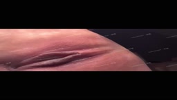 プライベートカスタム購入