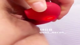 保存用