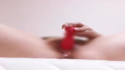 保存用