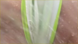 新作　優菜ちゃん④