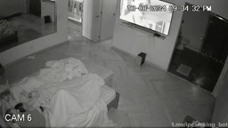 IPCAM What is the situation?