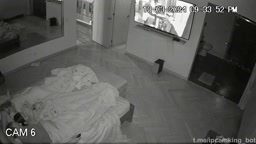 IPCAM What is the situation?