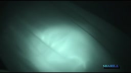 映画館 痴漢常習者