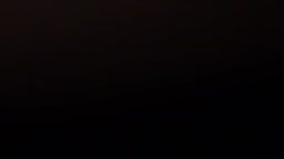 お姉ちゃんのオナ