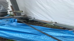 Ｔバック　笑顔