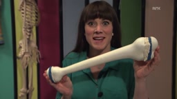 【ノルウェー公共放送】『思春期(Pubertet)』第5話