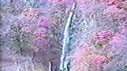 (個人撮影) [夫婦] ナナ子の旅行日記　見られて