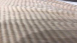 パチ屋のむっちり女子