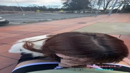 パーキングフェラ