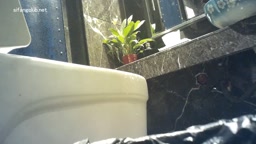 おしっこしてるのにトイレットペーパー使わないシリーズ　盗撮⑤