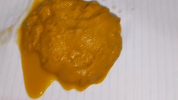 Fresh creamy poop [preview]