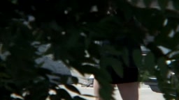 Extreme public piss 12