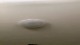 夫婦