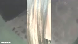 暗かったので明るく