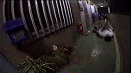見せたがり痴女５６人