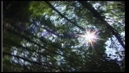 Loveparade Public Sex