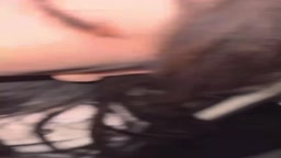 谜玩原创真实交流q3284569221