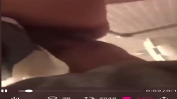 はめどり